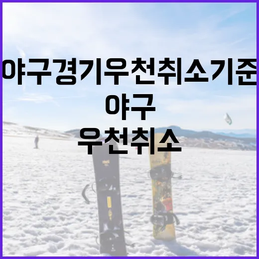야구 경기 우천 취소 기준 이해하기 - 요약