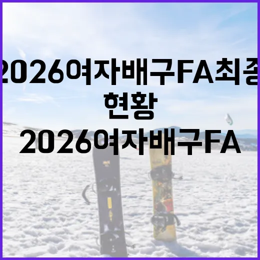 2026 여자배구 FA 최종 계약 현황 알아보기 - 요약