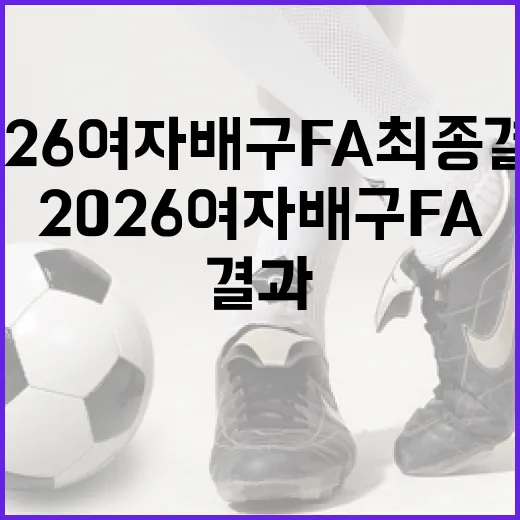 2026 여자배구 FA 최종 결과를 이해하는 방법 - 요약