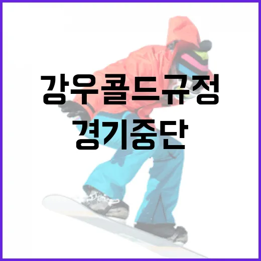 KBO 강우콜드 규정 이해하기: 경기 중단 상황에서 알아야 할 것들 - 요약