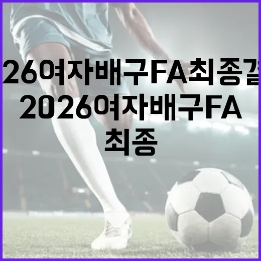 2026 여자배구 FA 최종 결과 알아보는 방법 - 요약