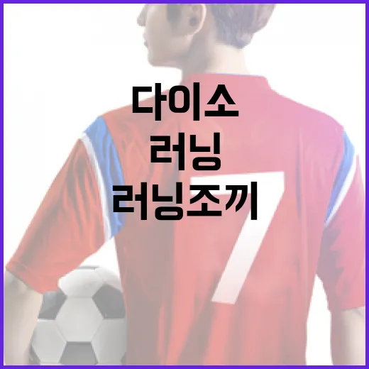 다이소 러닝조끼 활용하는 방법 - 요약