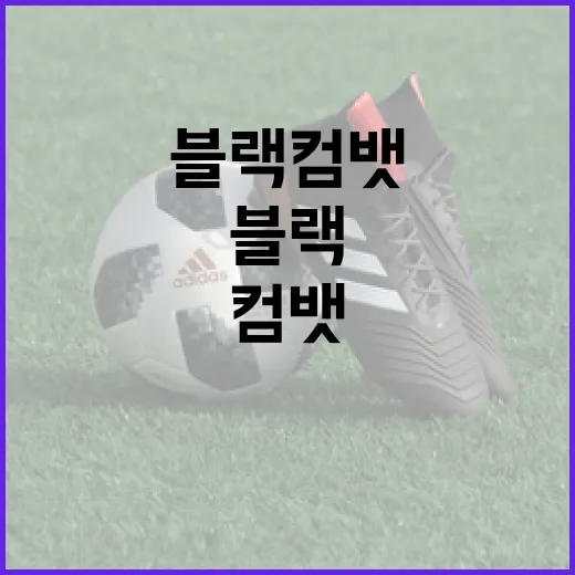 블랙컴뱃을 이해하고 실생활에 활용하는 방법 - 요약