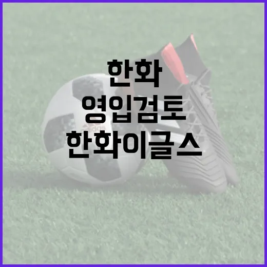 한화 이글스, 고효준 영입 검토하려면 이렇게 - 요약