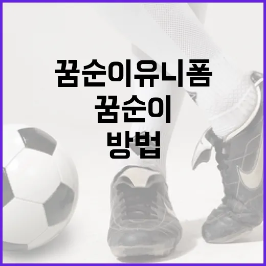 꿈순이 유니폼을 제대로 활용하는 방법 - 요약