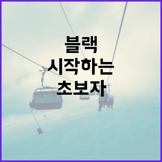 블랙컴뱃을 시작하는 방법: 초보자를 위한 안내서 - 요약
