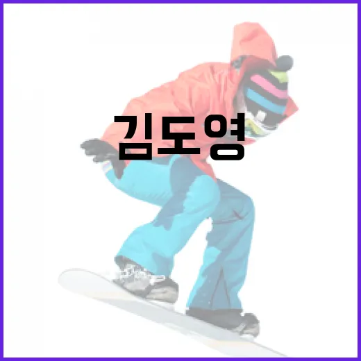 김도영의 삶과 업적을 이해하는 방법 - 요약