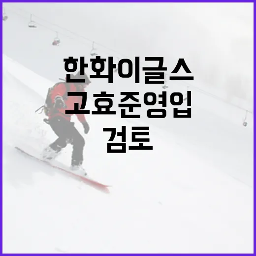 한화 이글스가 고효준 영입을 검토하는 방법 - 요약