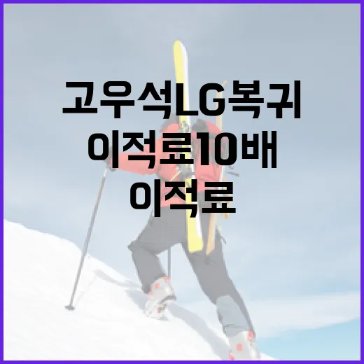 고우석 LG 복귀로 본 이적료 10배 상승의 비결 - 요약