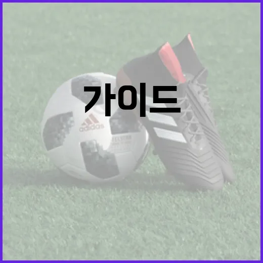 김시은 치어리더를 알기 위한 완벽한 가이드 - 요약