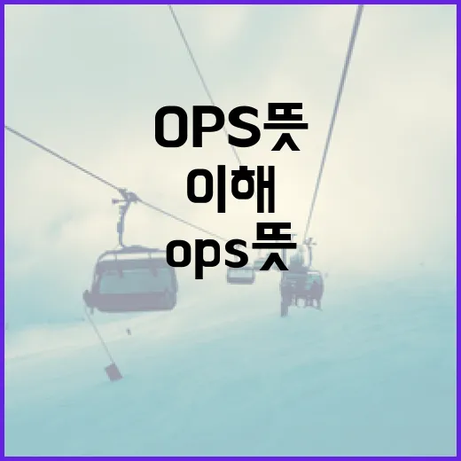OPS 뜻과 이를 이해하는 방법 - 요약