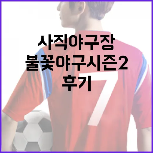 사직야구장 불꽃야구 시즌2 후기: 즐기는 방법과 꿀팁 - 요약