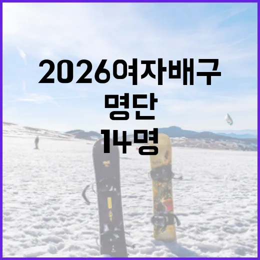 2026 여자배구 국대 최종 14명 명단을 확인하는 방법 - 요약