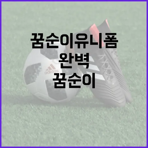 꿈순이 유니폼을 완벽하게 착용하는 방법 - 요약