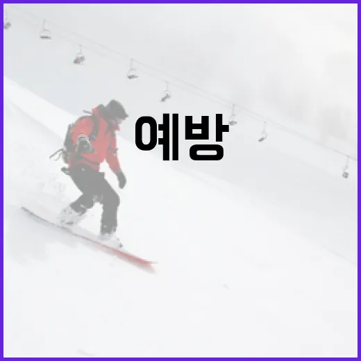 허인회 벌타에 대해 알아보고 예방하는 방법 - 요약