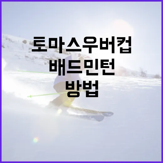 토마스우버컵을 이해하는 방법: 배드민턴 팬을 위한 가이드 - 요약