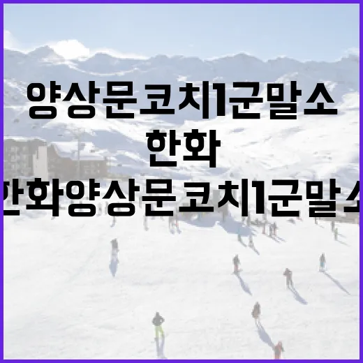 한화 양상문 코치 1군 말소 사태 이해하기 - 요약