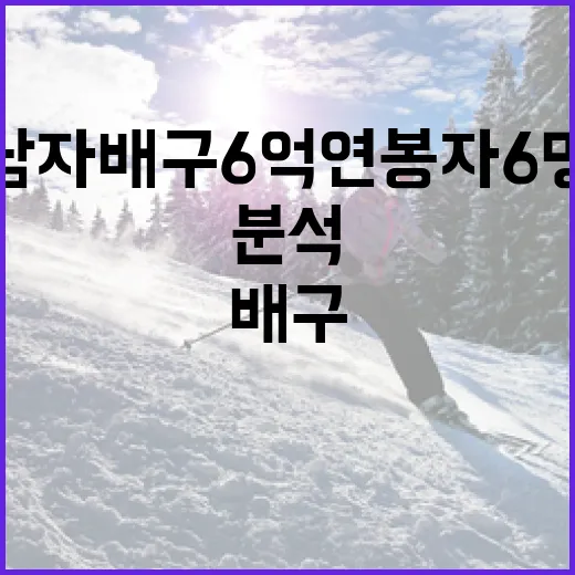 남자배구 6억 연봉자 6명을 분석하는 방법 - 요약