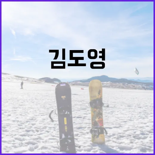 김도영을 효과적으로 알아보는 방법 - 요약