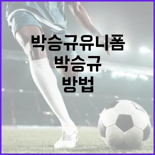 박승규 유니폼을 선택하는 방법 - 요약