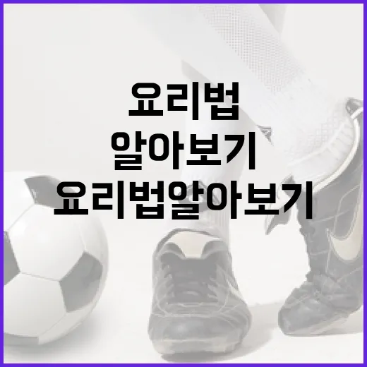 안양에서 김강을 즐기는 방법 - 요약
