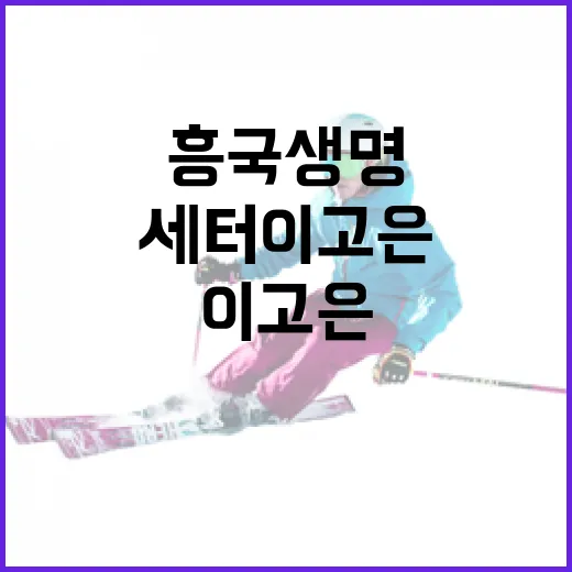 흥국생명 완성을 위한 세터 이고은의 중요성 이해하기 - 요약