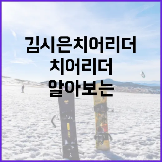 김시은 치어리더에 대해 알아보는 방법 - 요약