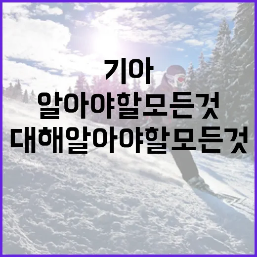 기아 장재혁에 대해 알아야 할 모든 것 - 요약
