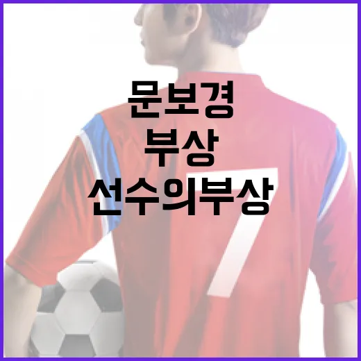 문보경 선수의 부상을 효율적으로 관리하는 방법 - 요약