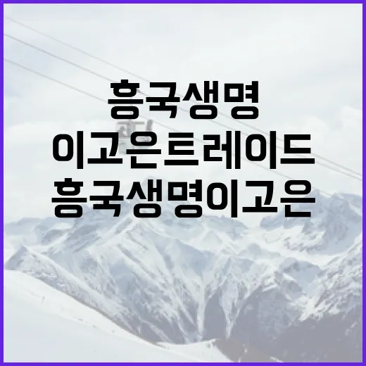 흥국생명 이고은 트레이드 가능성을 알아보는 방법 - 요약