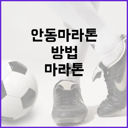 안동마라톤을 완벽히 준비하는 방법 - 요약