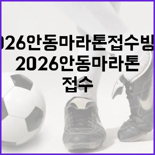 2026 안동마라톤 접수 방법과 준비 팁 - 요약