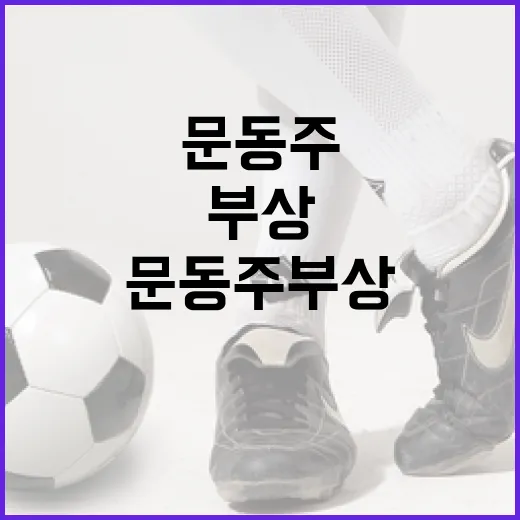 문동주 부상 관리 및 회복 방법 - 요약