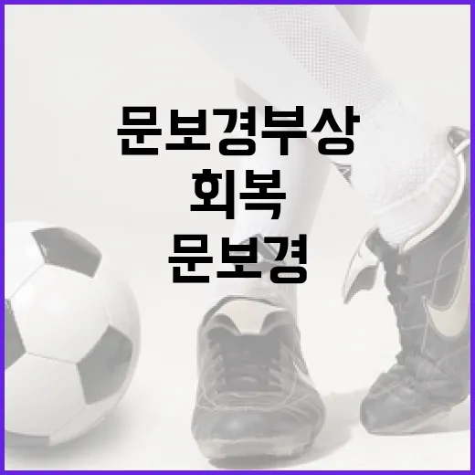 문보경 부상 후 회복하는 방법 - 요약