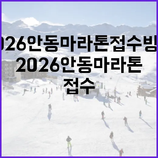 2026 안동마라톤 접수 방법과 준비 요령 - 요약
