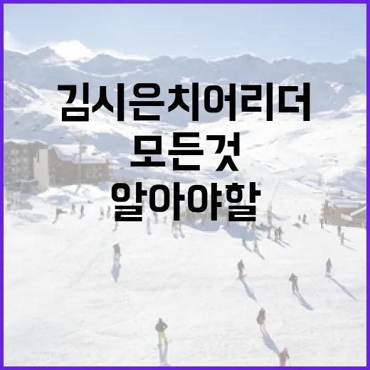 김시은 치어리더에 대해 알아야 할 모든 것 - 요약