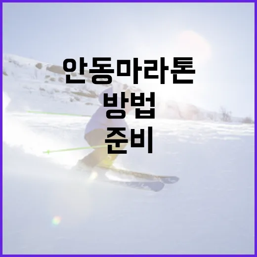 안동마라톤을 성공적으로 준비하는 방법 - 요약