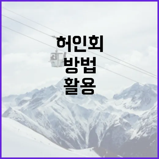허인회를 이해하고 활용하는 방법 - 요약
