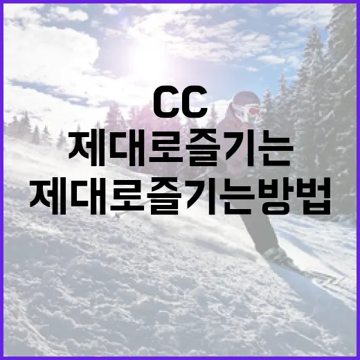 모카cc를 제대로 즐기는 방법 - 요약
