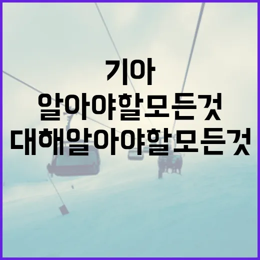 기아 박상준에 대해 알아야 할 모든 것 - 요약