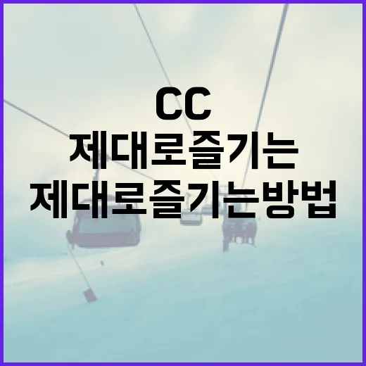 모카cc를 제대로 즐기는 방법 - 요약