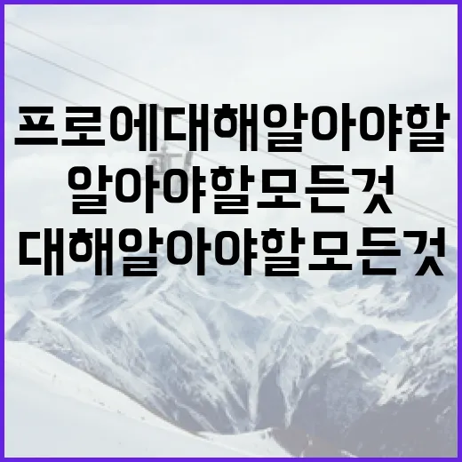 박재훈 뉴욕프로에 대해 알아야 할 모든 것 - 요약