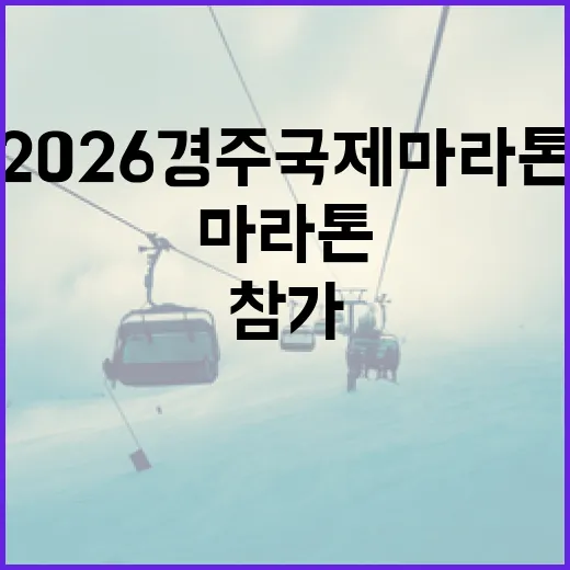 2026 경주국제마라톤 참가 준비하는 방법 - 요약