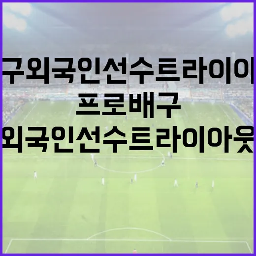 프로배구 외국인선수 트라이아웃 명단을 분석하는 방법 - 요약