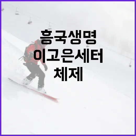 흥국생명 배구단이 이고은 세터로 체제를 완성하는 방법 - 요약