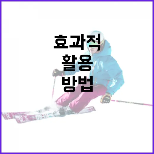 zfn04를 효과적으로 활용하는 방법 - 요약