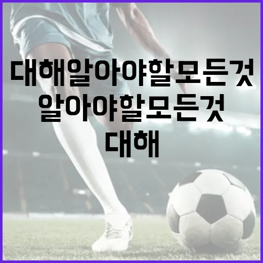 김서현에 대해 알아야 할 모든 것 - 요약