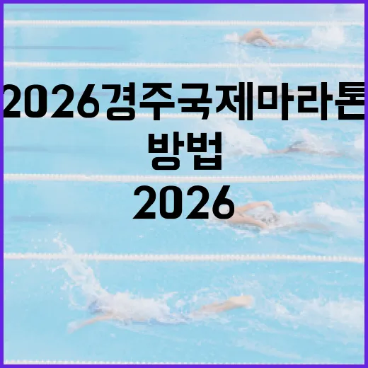 2026 경주국제마라톤을 완주하는 방법 - 요약