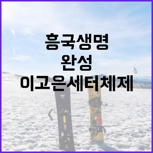 흥국생명 이고은 세터 체제 완성하는 방법 - 요약
