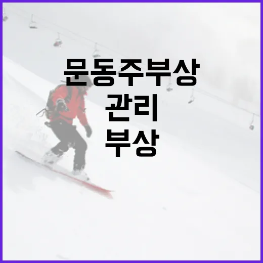 문동주 부상을 예방하고 관리하는 방법 - 요약